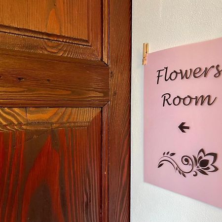 1912 - Flowers Room - Budget For Young لوكارنو المظهر الخارجي الصورة